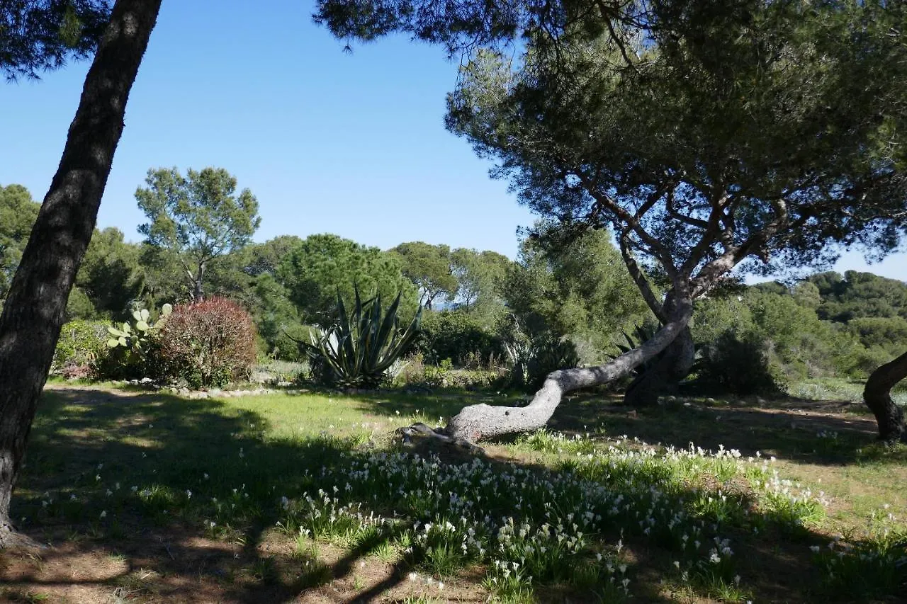 Apartamento Bel Appartement Acces Direct Mer; L'Almanarre, Hyères França