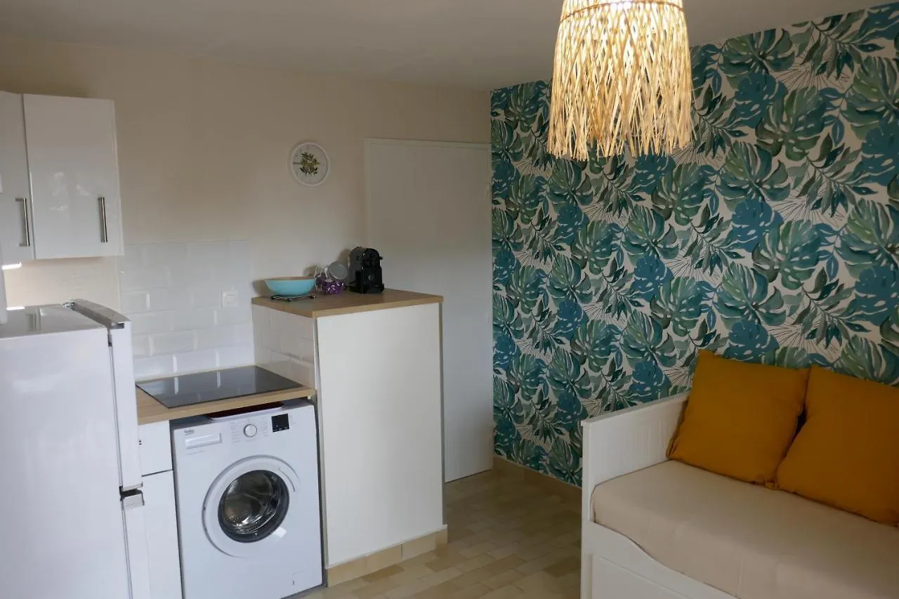 Bel Appartement Acces Direct Mer; L'Almanarre, Hyeres France